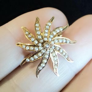 Antique 14k Yellow Gold Victorian Seed Pearl Pin Brooch