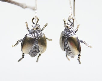 Gold Dangle Drop Fly Earrings, Fly Jewelry, Bug Earrings, Funky Earrings, Sterling Silver Beetle Earrings, Weird Earrings, Insect Jewelry
