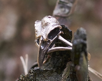 Gothic Raven Skull Ring | Handmade Occult Jewelry | Bronze or Sterling Silver Unisex Statement Ring