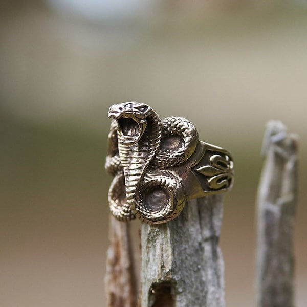 Gothic Cobra Ring, Bronze or Sterling Silver, Snake Jewelry