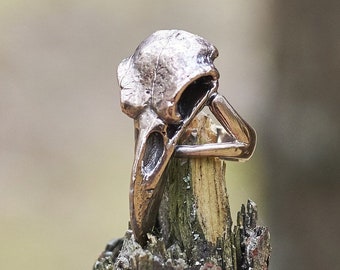 Puede incluir: Un anillo de calavera de pájaro plateado, con un diseño detallado, se muestra en una rama de madera.