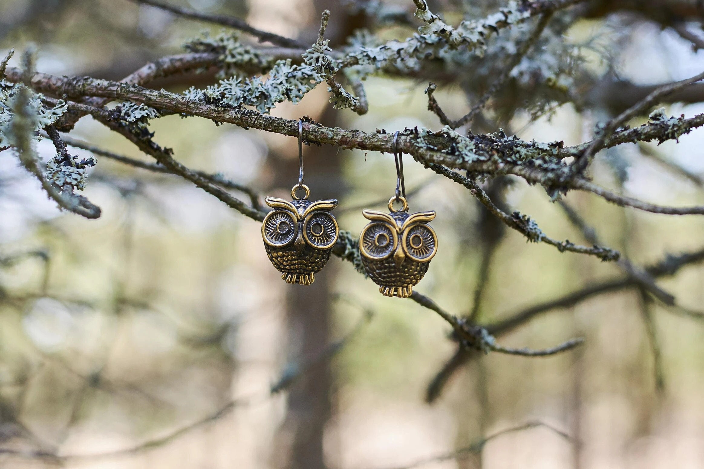 Boho Owl Dangle Earrings | Bronze Nature Lover Gift | Crafted with Care by Raganu Rotas