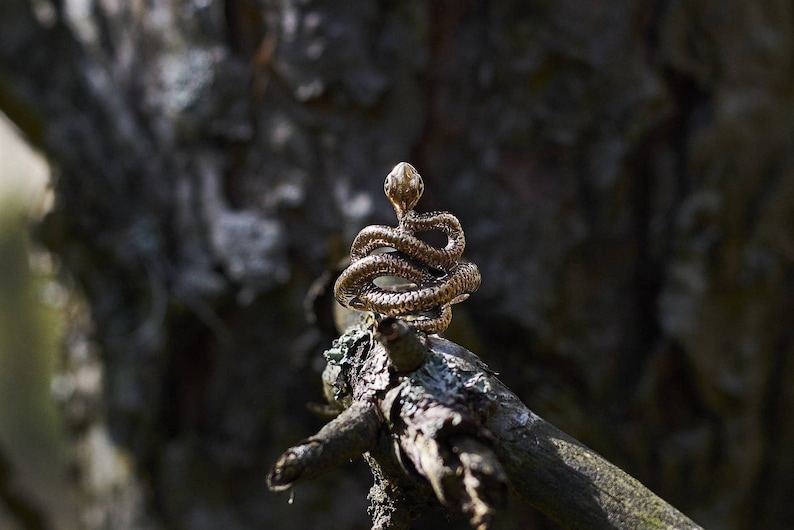 Coiled Serpent Ring: Bronze or Sterling Silver Snake Jewelry