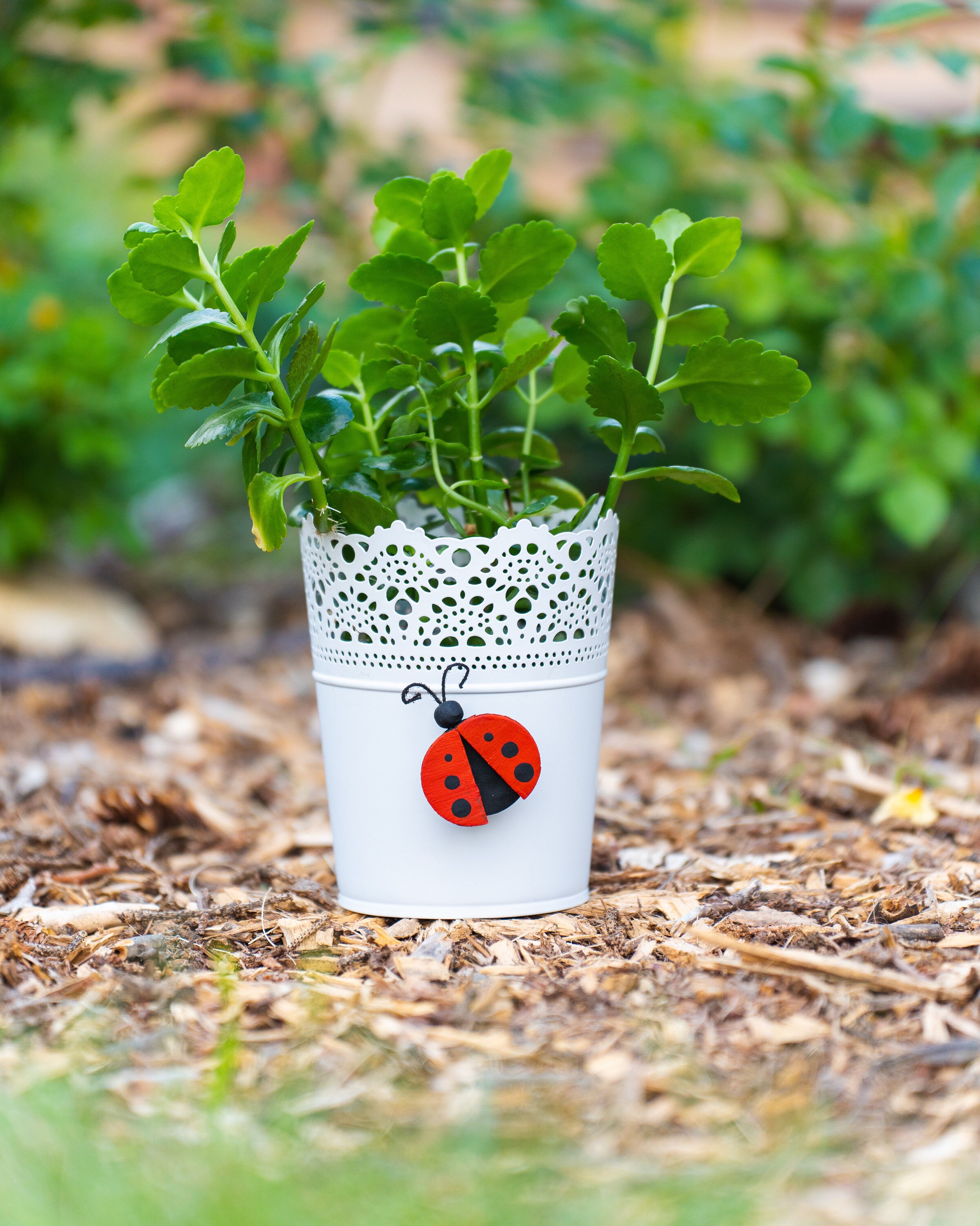 Handcrafted Animal Magnets: Ladybug, Owl, Dove, Butterfly, Horse