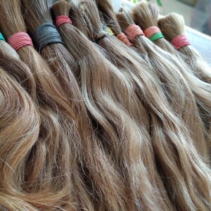 European human hair dreadlocks medium blonde / dread extensions / extensions image 3