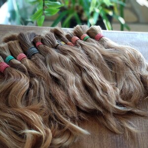 European human hair dreadlocks medium blonde / dread extensions / extensions image 2