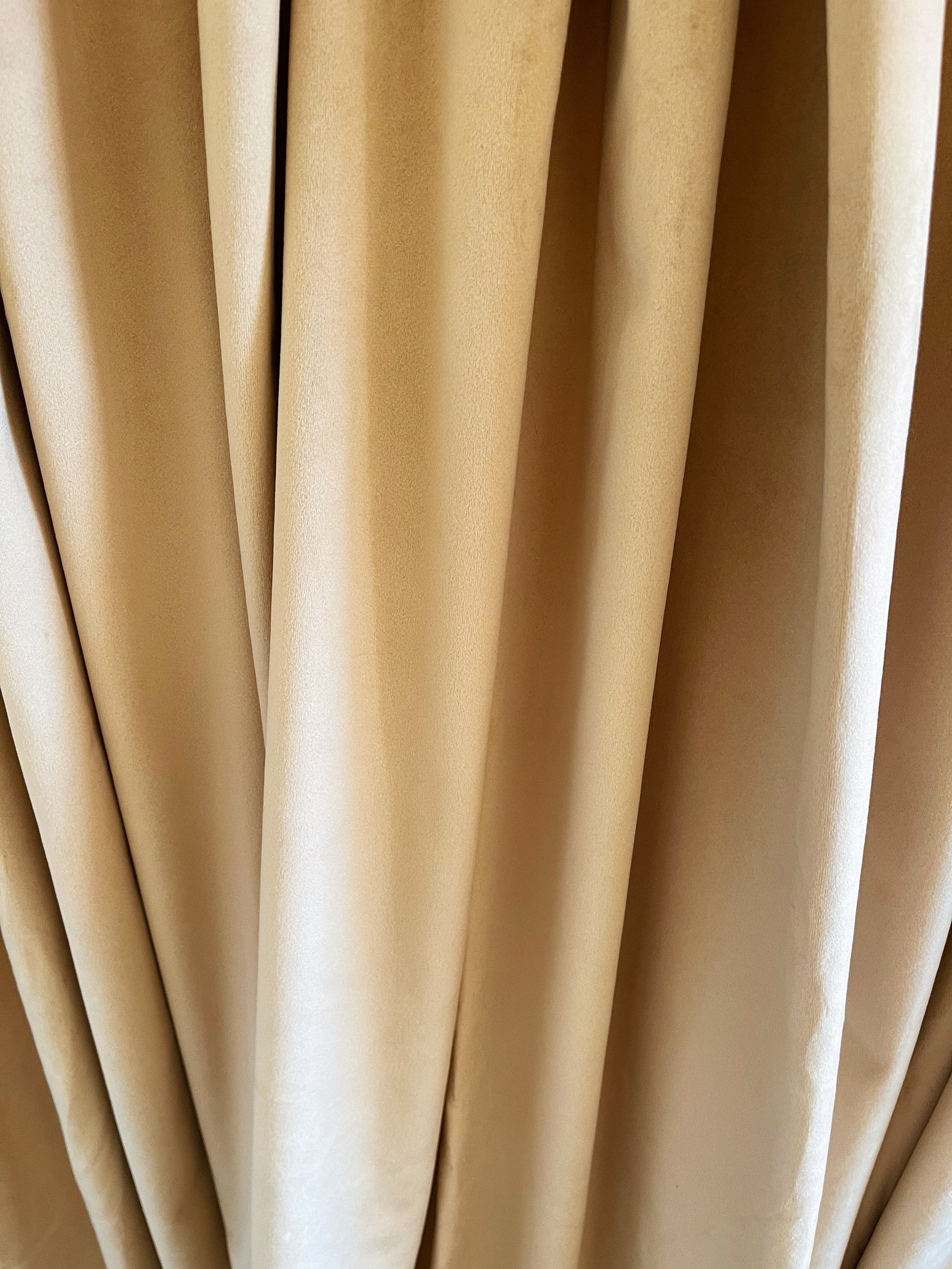 Champagne White Tab Top Curtain Panels Matt Velvet Panels in Etsy Canada