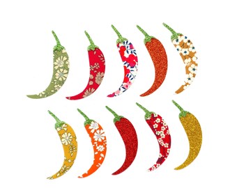 Set of 10 chilli peppers iron on patches for easily customize clothing