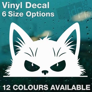 Grumpy Cat Kitten Peeking - Funny Bumper Window Car Laptop Vinyl Sticker Decal - 6 Size Options - 12 Colours Available