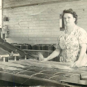 Julia Rustic Americana 90 year-old Active Organic Sourdough Starter Mother for Baking Bread w Grandmother&#39;s Recipe