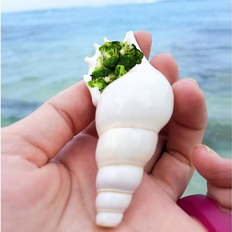 >The Phantom Shell Pipe Mermaid Smoking Pipe