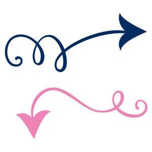 May include: Two whimsical arrows, one navy blue and the other pink, point in opposite directions. The navy arrow curves with a looping design, while the pink arrow has a more streamlined, flowing shape. Both arrows have a decorative flourish at the end.