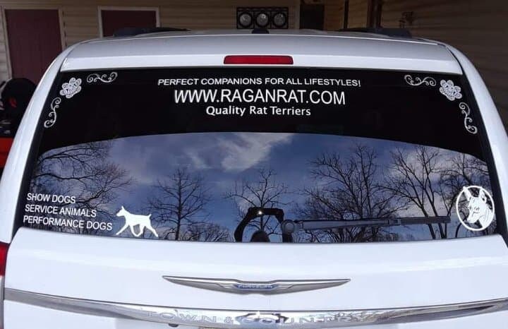DIY Vinyl Decal Scroll - Etsy