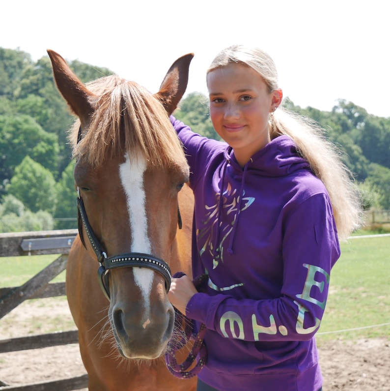 Schimmernder Regenbogen-Kapuzenpullover mit personalisiertem Pferdedesign Bild 2