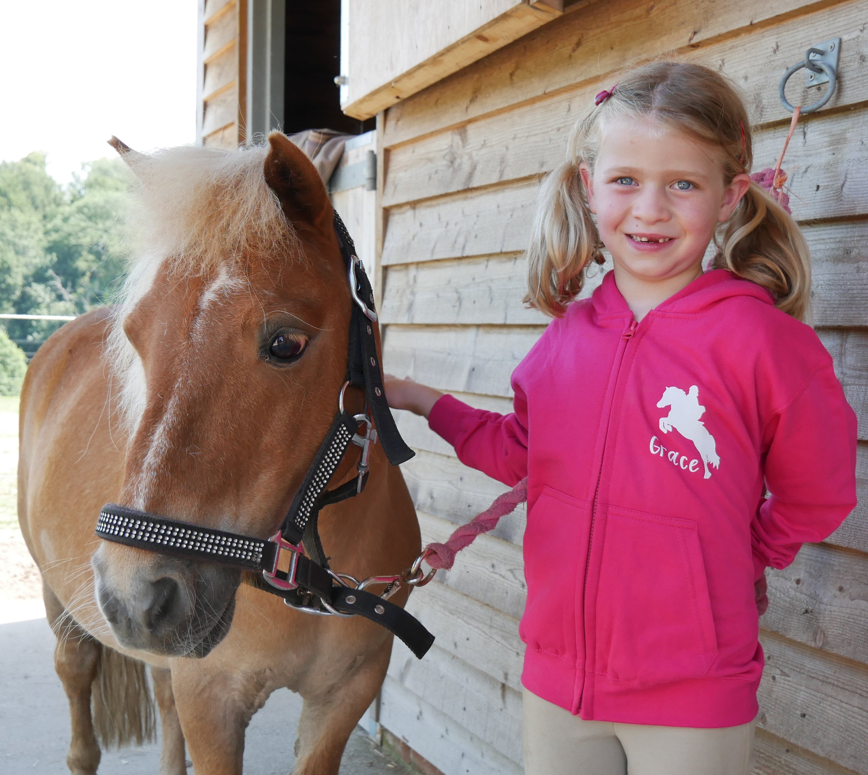 Horse zip up hoodie hotsell