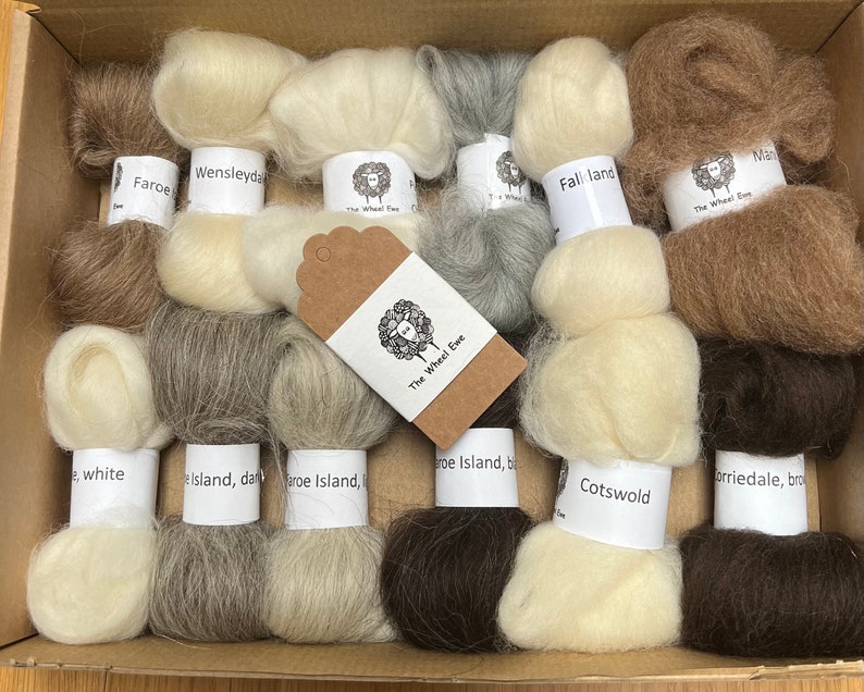 Spinning Sample Box No.4 Different Wool Combed Tops over 150g image 1