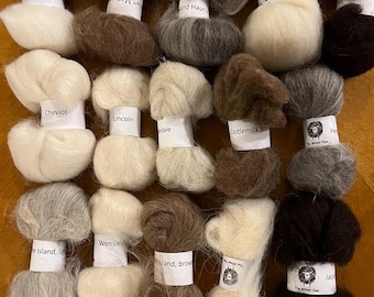 LIMITED EDITION Sheep Breed Study