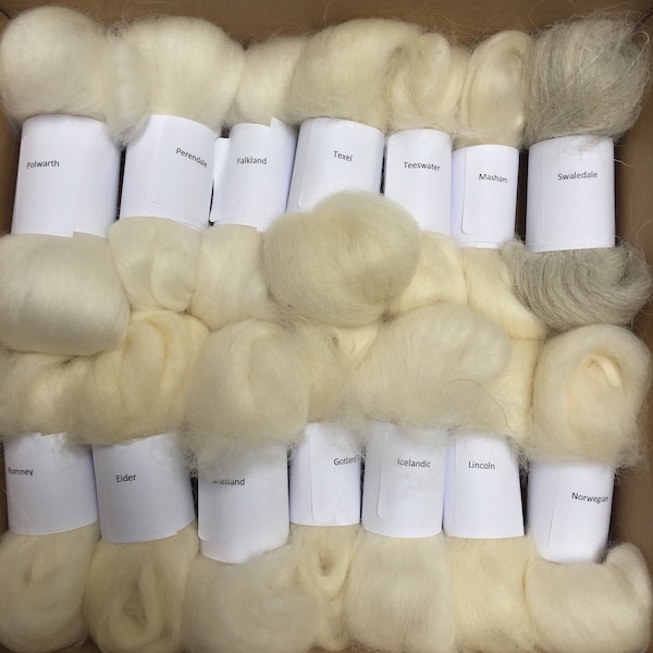 Boîte d'échantillons de filature n°1 = 14 têtes peignées de mouton en laine différentes de plus de 150 g