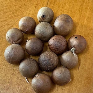 Könnte beinhalten: Eine Ansammlung brauner, kugelförmiger Objekte mit unterschiedlichen Texturen und Größen. Einige haben kleine Löcher oder Stiele, was darauf hindeutet, dass es sich um natürliche Gegenstände handelt. Die Objekte sind auf einer hellbraunen Holzoberfläche angeordnet.