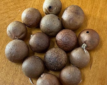 Scottish Oak Galls 20g 14 or more balls