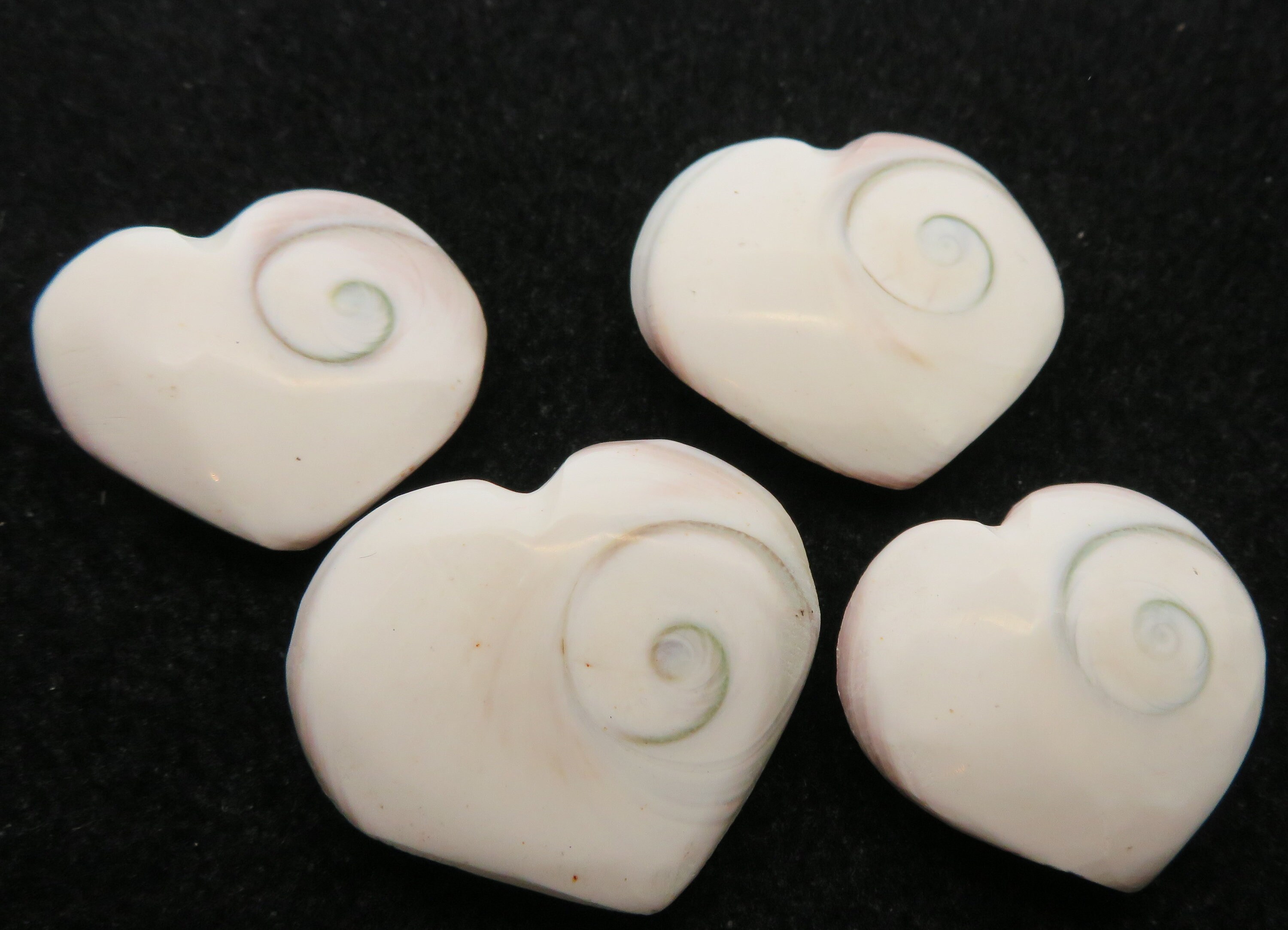 シヴァハートシェルの神聖なシンボル x 1 - Etsy 日本