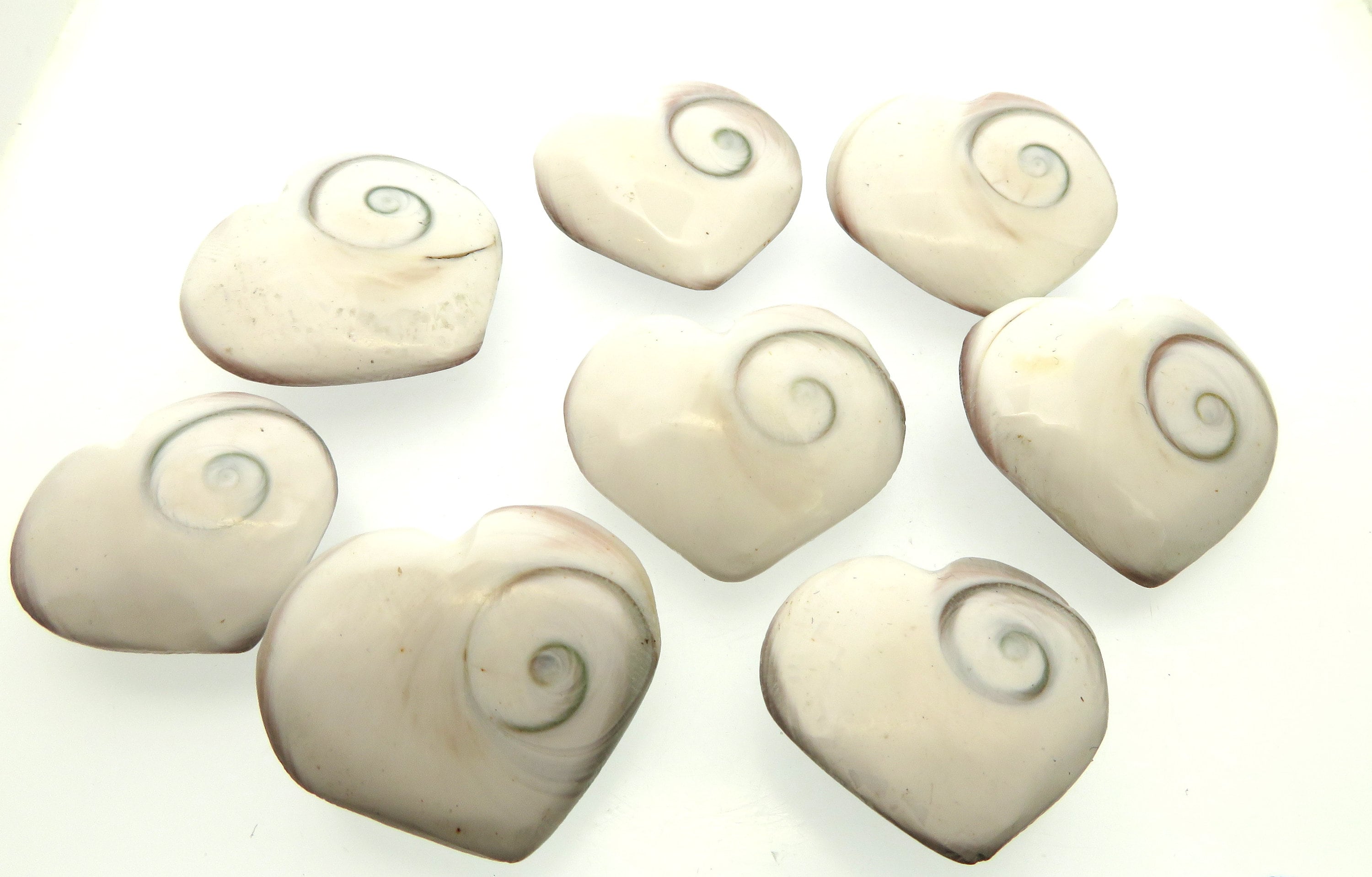 シヴァハートシェルの神聖なシンボル x 1 - Etsy 日本