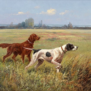 Puede incluir: Dos perros de caza en un campo. Un pointer marrón y blanco se encuentra en primer plano, mirando hacia la derecha. Un setter irlandés marrón y blanco se encuentra detrás del pointer, mirando hacia la izquierda. Los perros están en un campo de hierba alta.