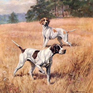 Może przedstawiać: Antyczny obraz przedstawia dwa psy rasy Pointer angielski na polu. Psy są białe z brązowymi plamami, na tle wysokiej, suchej trawy i drzew. Dzieło sztuki ma styl vintage.