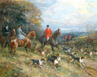 Horse 16
