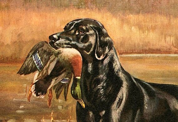 The Labrador Retreiver - 1930s Hunting Dog Painting - Edwin