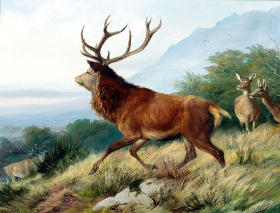 The Great Red Deer 1888 Vintage German Oil Painting By Carl.