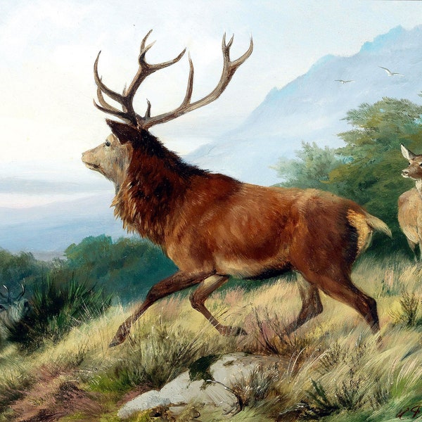 The Great Red Deer 1888 Vintage German Oil Painting by Carl Friedrich Deiker - Digital Download Art Print Hi-Res JPEG