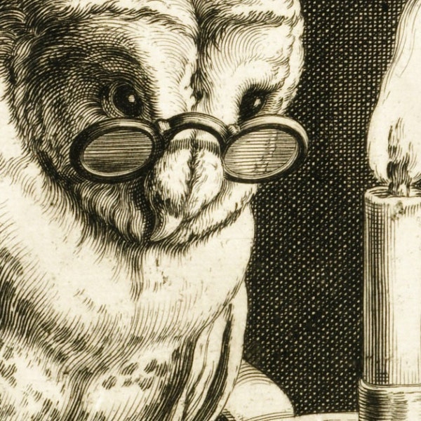 The Reading Owl 1600s Dutch Antique Book Digital Download Art Print Hi-Res JPEG