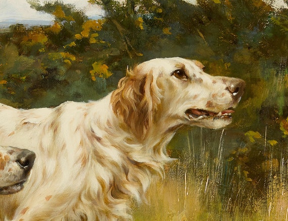 2 匹のイングリッシュ セッター - 1800 年代半ばの狩猟犬の絵画