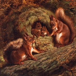 Eine Hummel von Eichhörnchen - Viktorianisches Tier Ölgemälde - Land Antik Dekor - Digitaler Download Druck Hi-Res JPEG