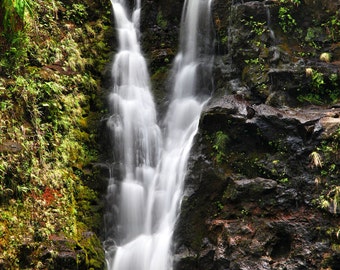 Hawaiian Waterfall - JSPhotography