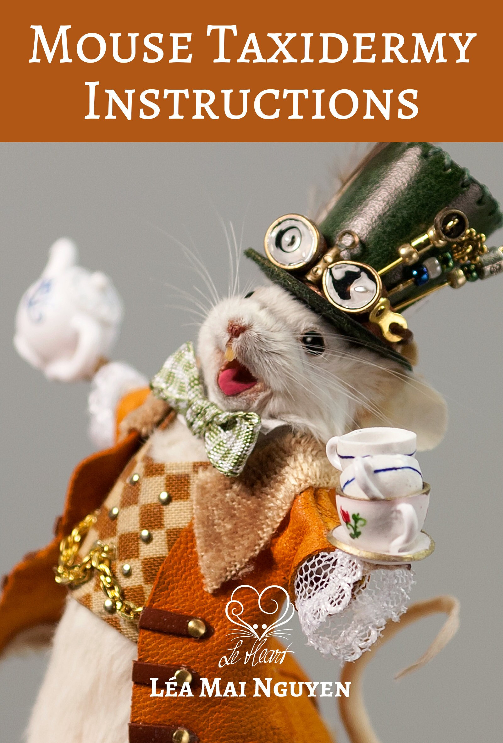 Mouse Taxidermy Instructions