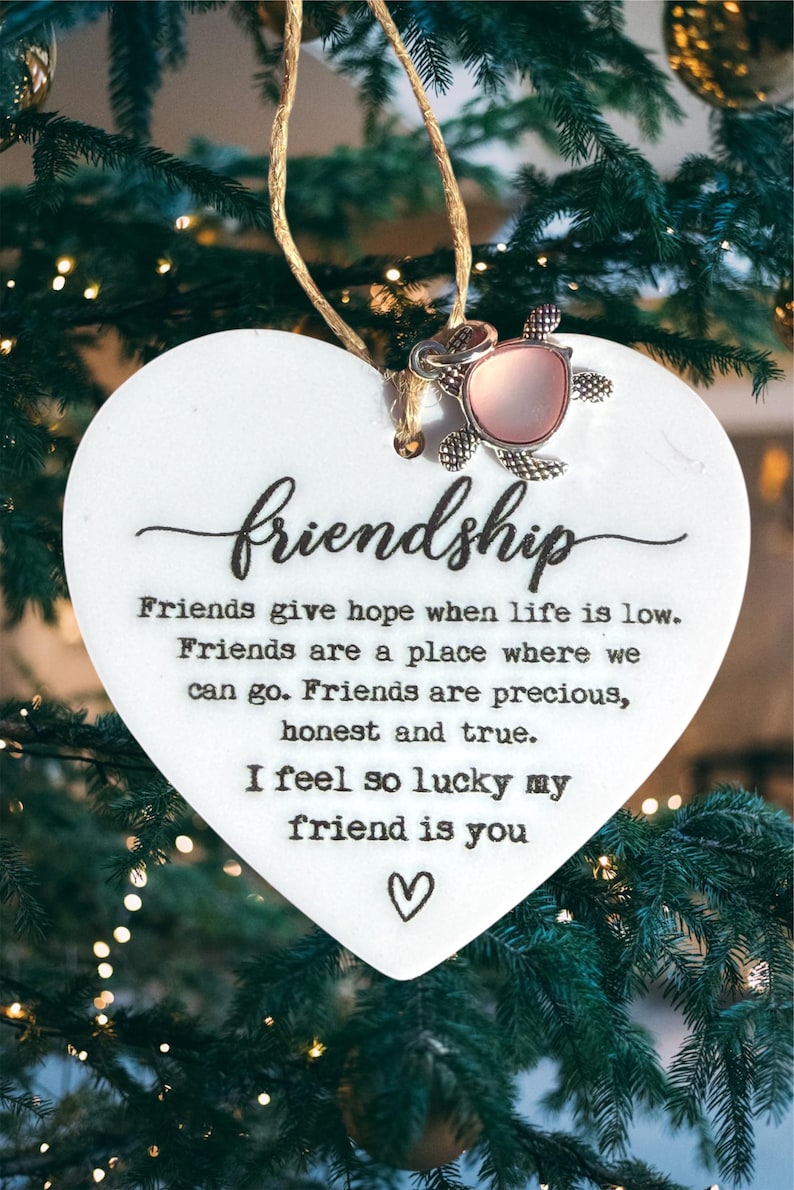 Sea Creations Friendship Sea Turtle Ornament