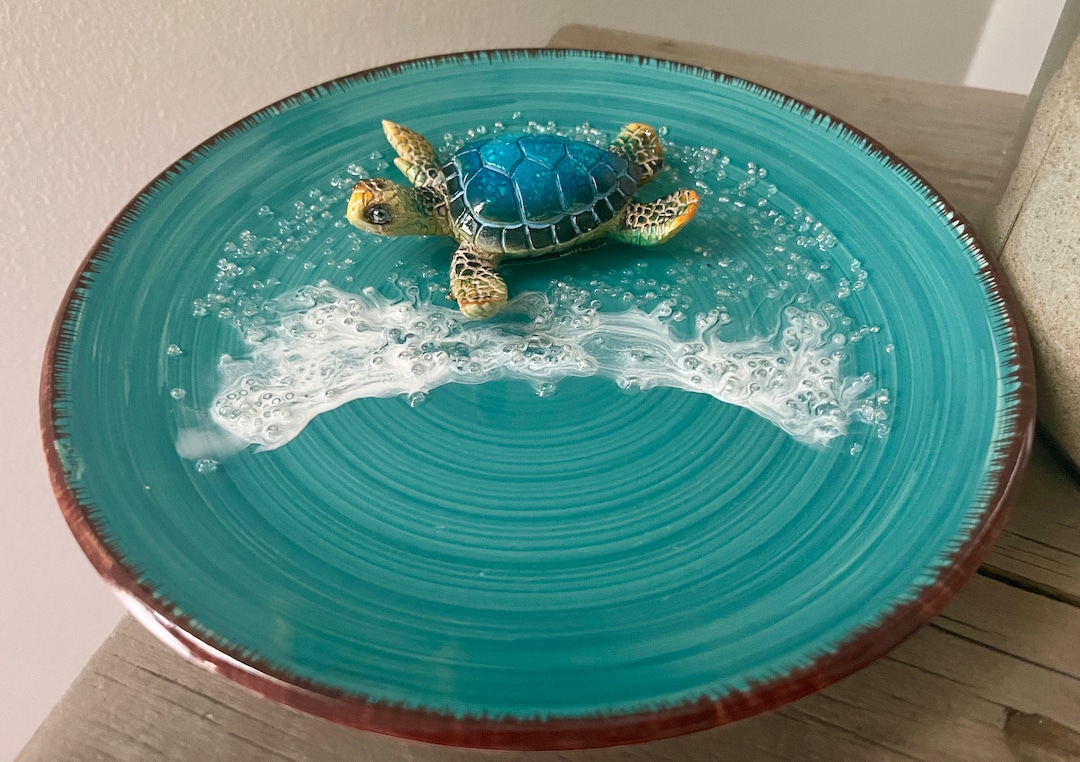 Turtle Shell Kettle Sea Turtle Seashell Beach Trinket Dish - Etsy