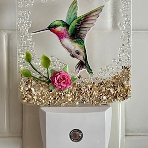 Puede incluir: Una luz de noche decorativa con un diseño de colibrí. La imagen del ave está rodeada de cuentas transparentes y piedras doradas. También se incluye una rosa rosa y hojas verdes. La luz de noche tiene una base blanca.
