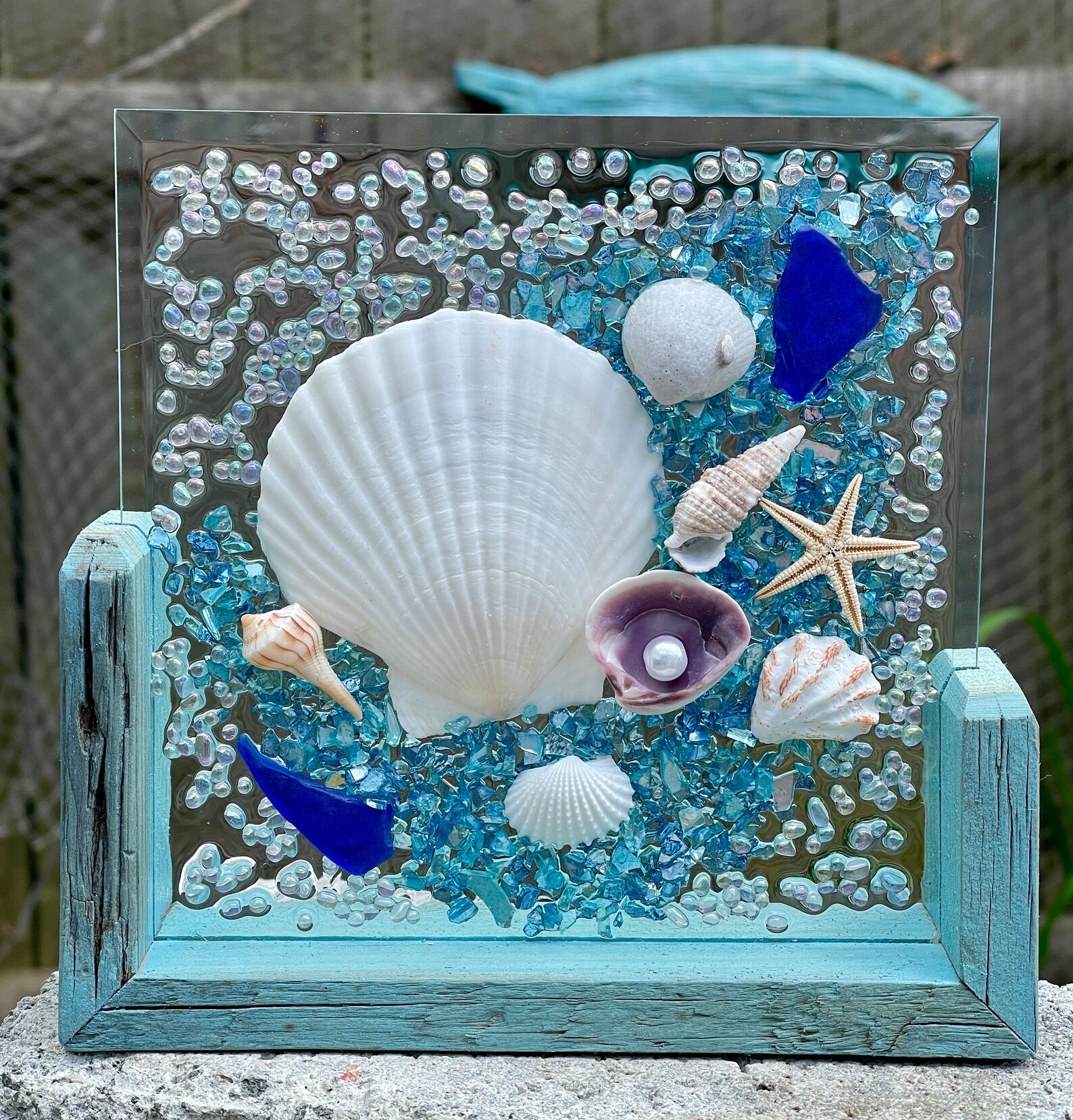 Sea Shell Stand - Etsy