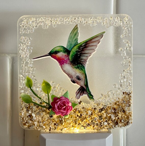 Luce notturna a LED a forma di colibrì Italia