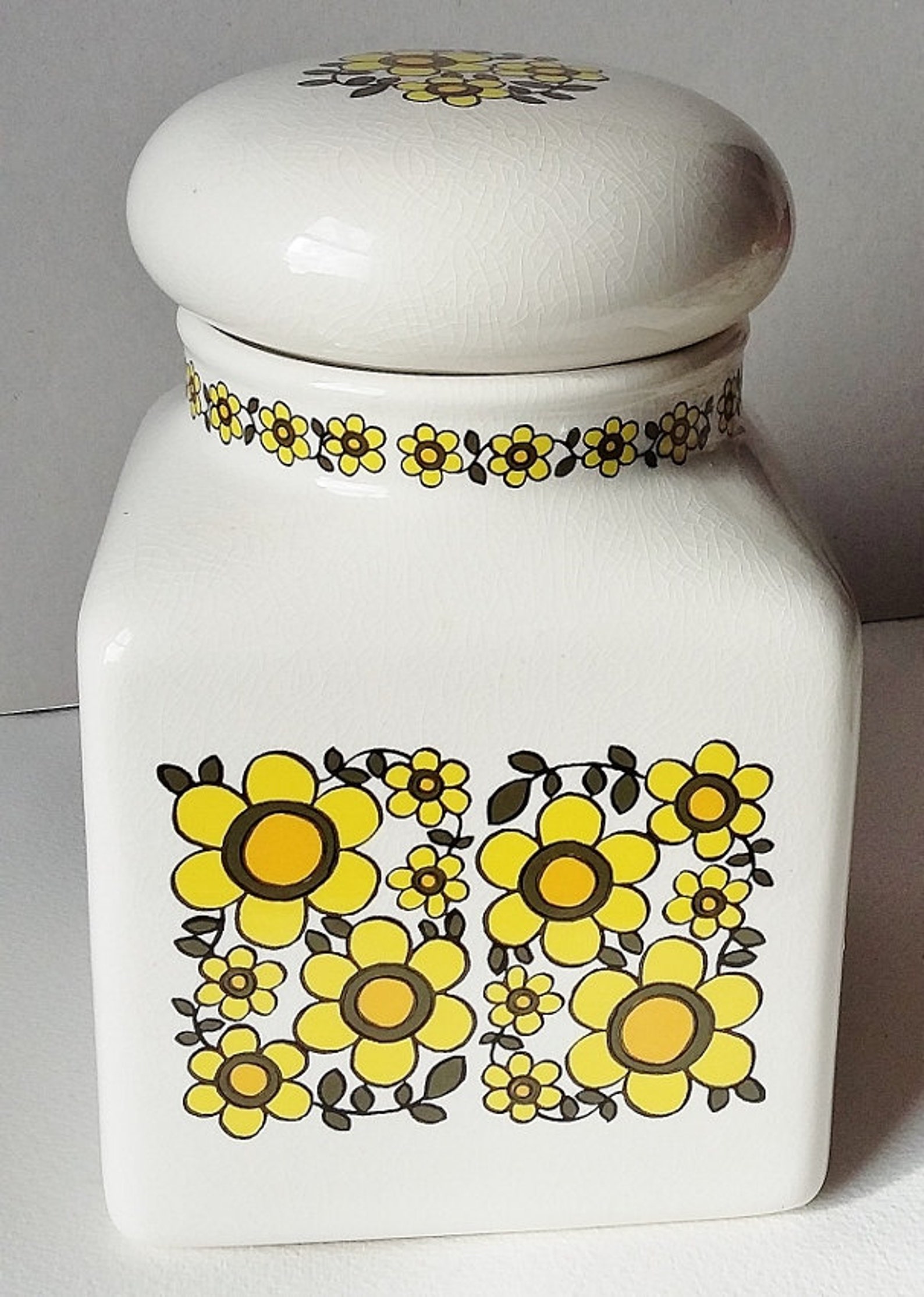 Taunton Vale Extra Large Kitchen Canister 1970s Storage Jar Etsy