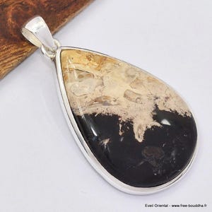Versteinertes Holz Anhänger, 925 Silber, sk11.1
