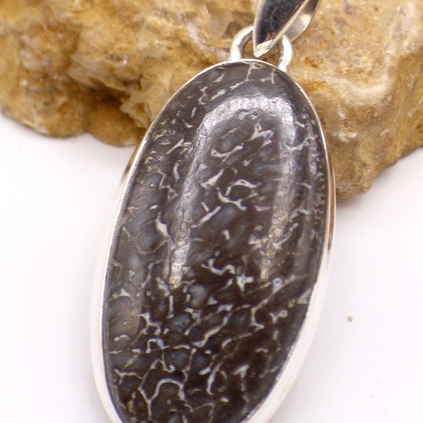 OS DE DINOSAURE bijoux fossile pendentif oval argent 925, pendentif fossile, bijou pierre naturelle, minéraux PU29.1