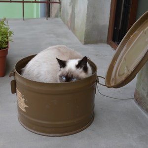 May include: A white and gray cat with blue eyes sits inside a brown metal container with a lid. The lid is open and resting on the side of the container.