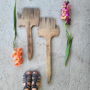 May include: Two antique wooden flax combs with long, thin metal teeth and sturdy handles, positioned vertically alongside a stem of orange gladiolus flowers and a stem of purple gladiolus flowers, with black strappy sandals visible at the bottom.