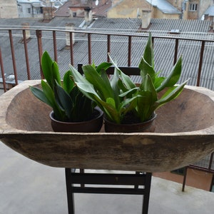 Antique primitive wooden dough bowl - Old bowl - Antique natural wood - Hand carved - Country cottage chic - Rustic home decor.