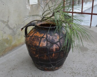 May include: A large, brown clay pot with a woven pattern and two handles. The pot is filled with a green plant with long, thin leaves.