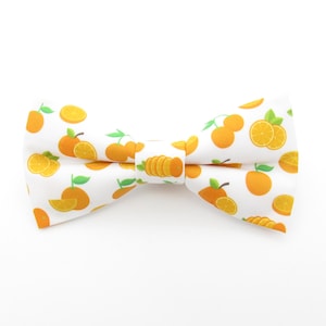 May include: A white bow tie with a pattern of orange slices and whole oranges.